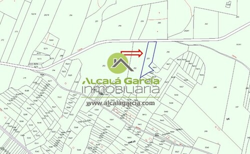 Terreno r�stico en venta en Osma